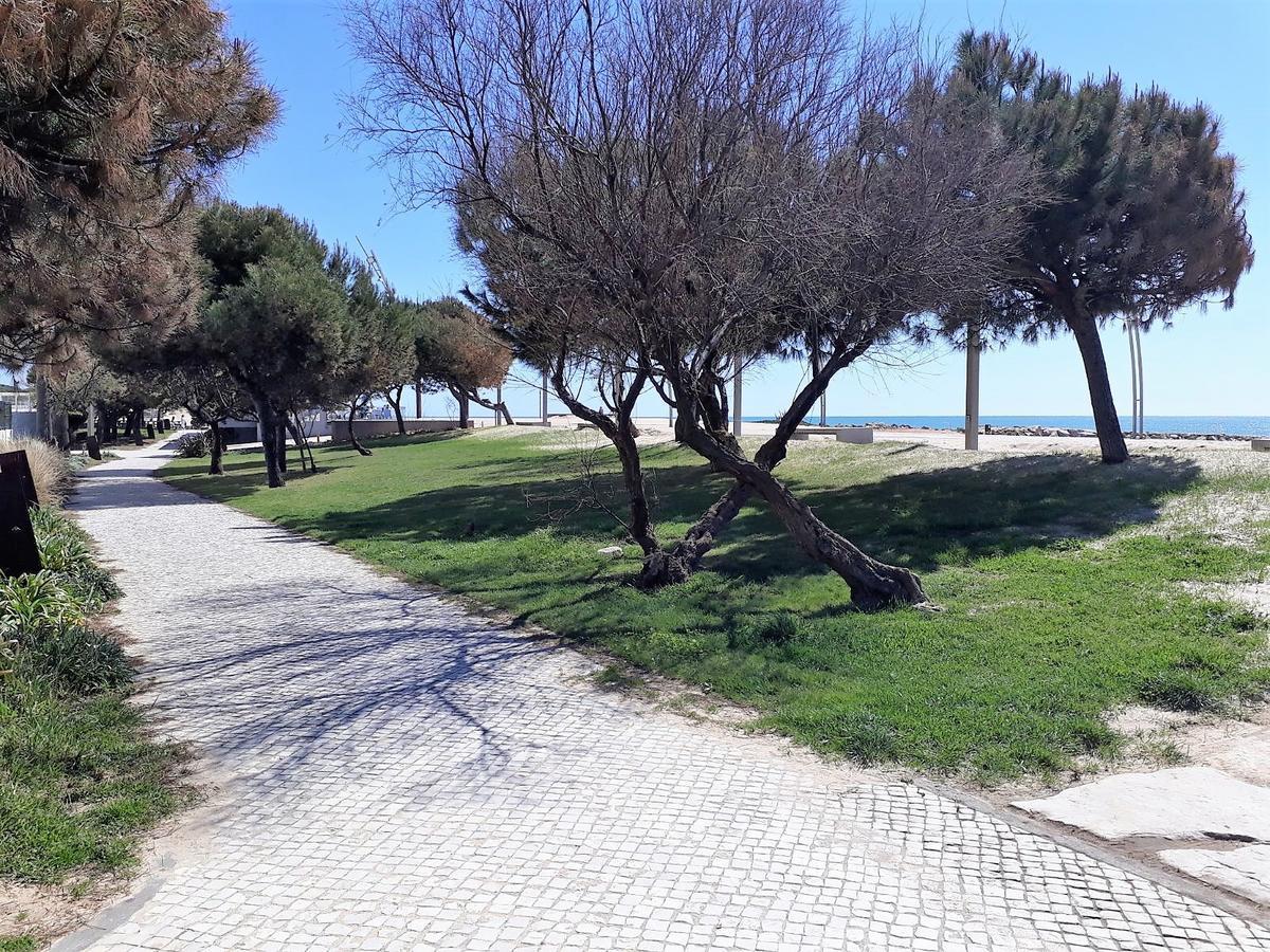Avenida Mar- Vista Mar, Wifi, 150Mt Praia 奎特里拉 外观 照片